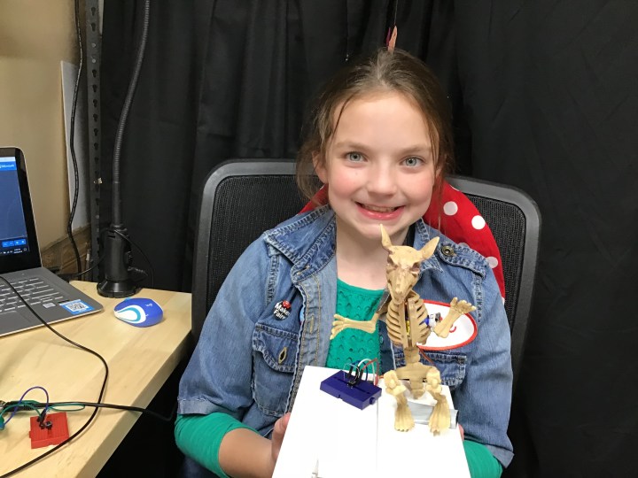 Josie with circuit playground express servo muskrat