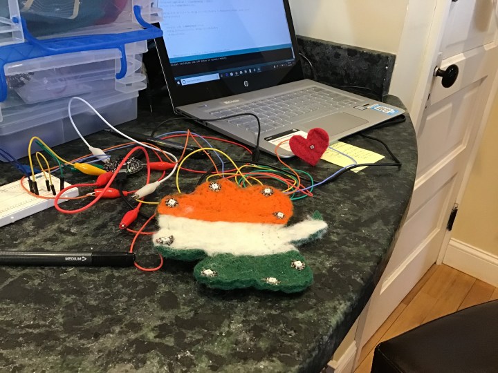 shamrock being programed